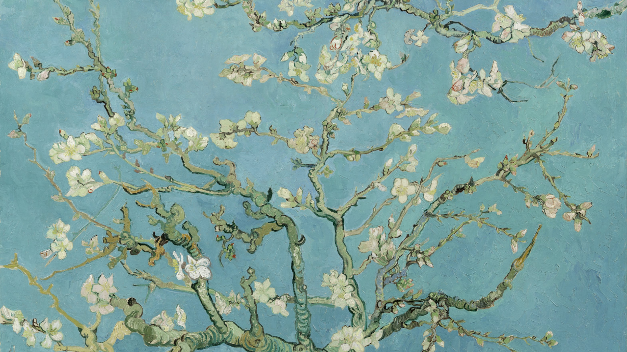  Almond Blossoms